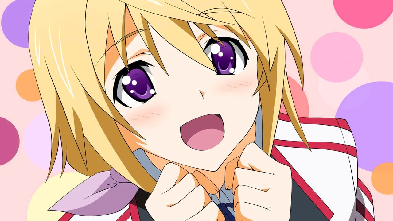 Infinite Stratos Charlotte Dunois Min