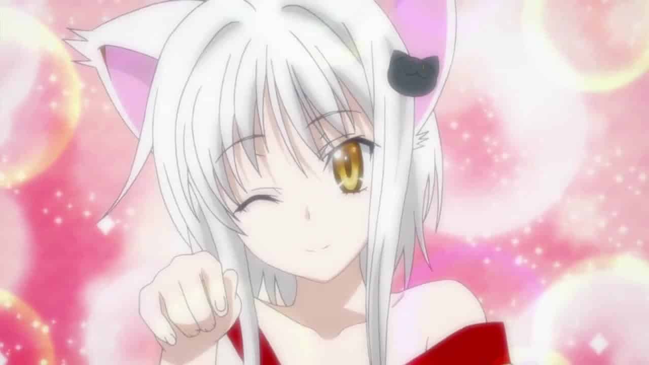 High School Dxd Koneko