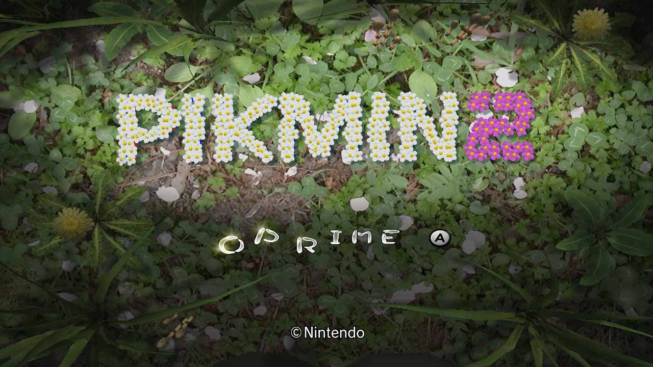 Pikmin5