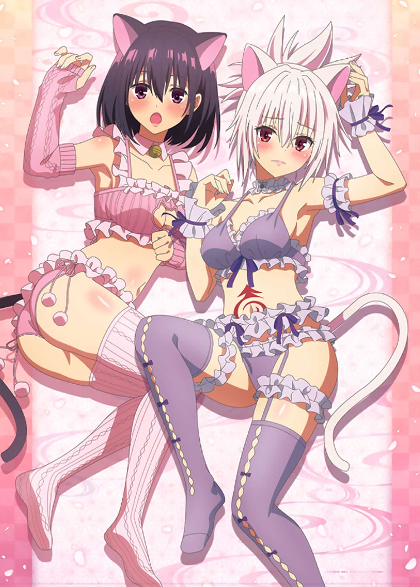 Ayakashi Triangle: Suzu Y Matsuri Vuelven Locos A Otakus Por Sensual Traje De Gato