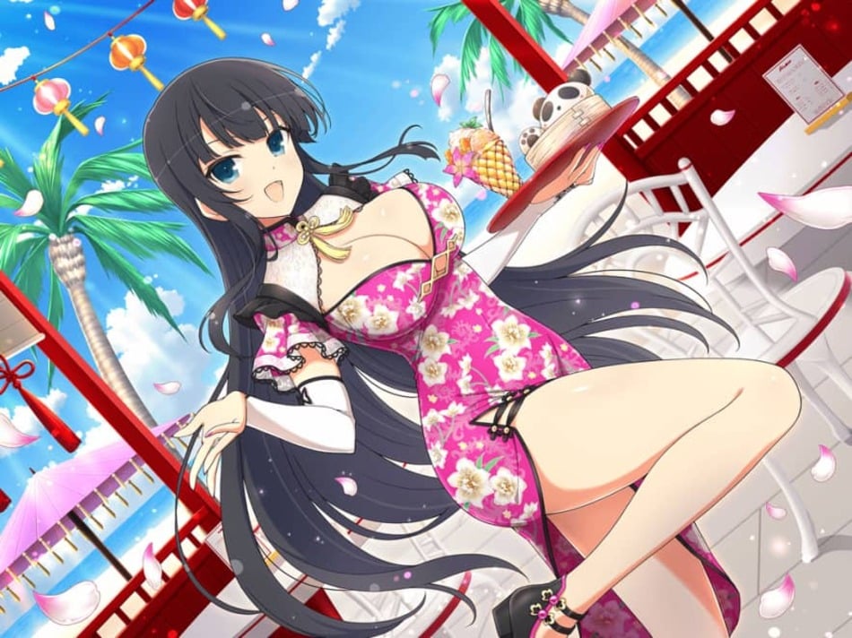 Shinobi Master Senran Kagura New Link 6