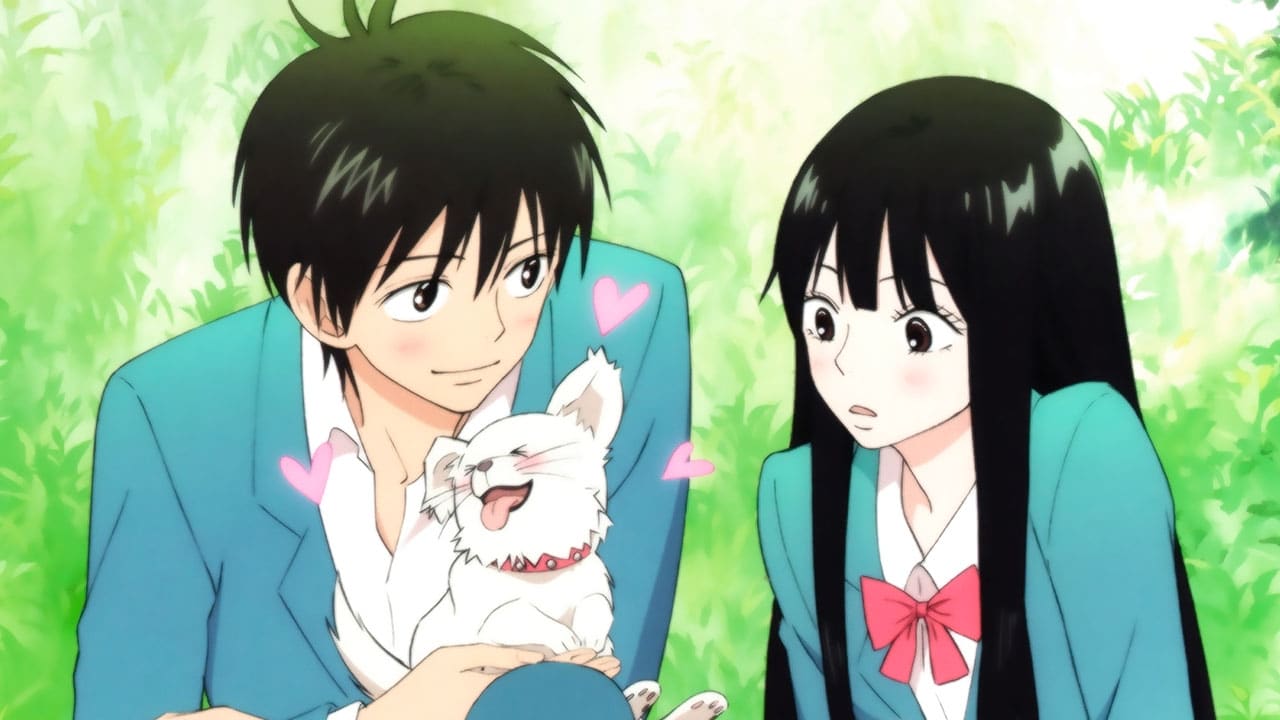 Kimi Ni Todoke Visual 1