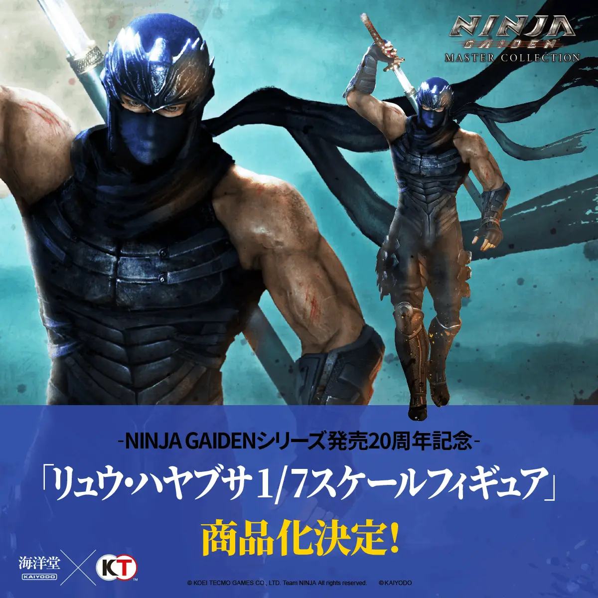 Ninja Gaiden Ryu Hayabusa