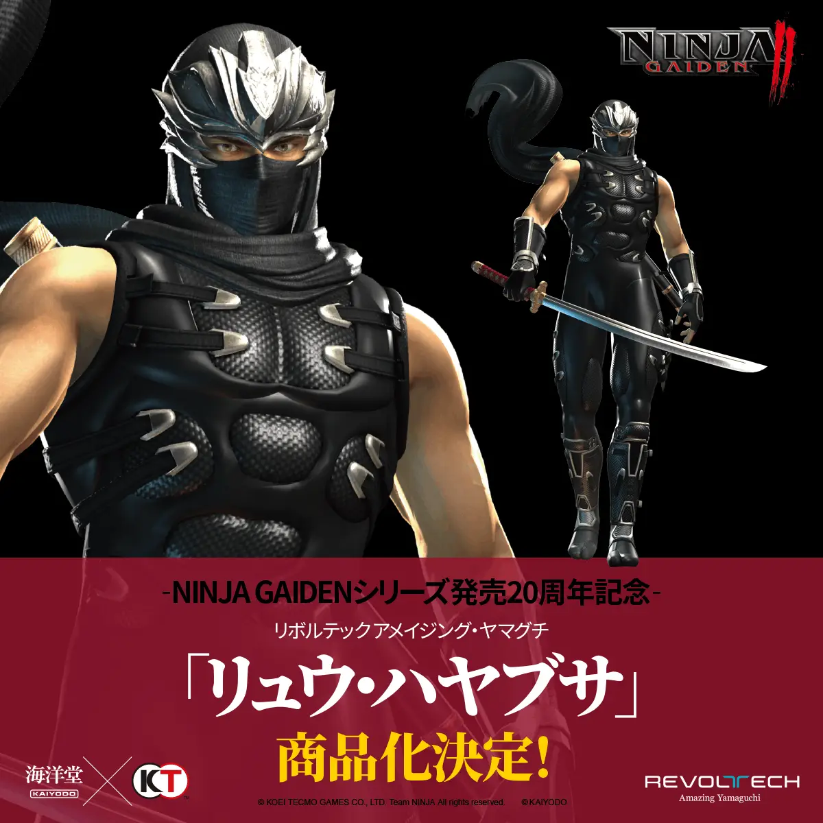 Ninja Gaiden Hayabusa