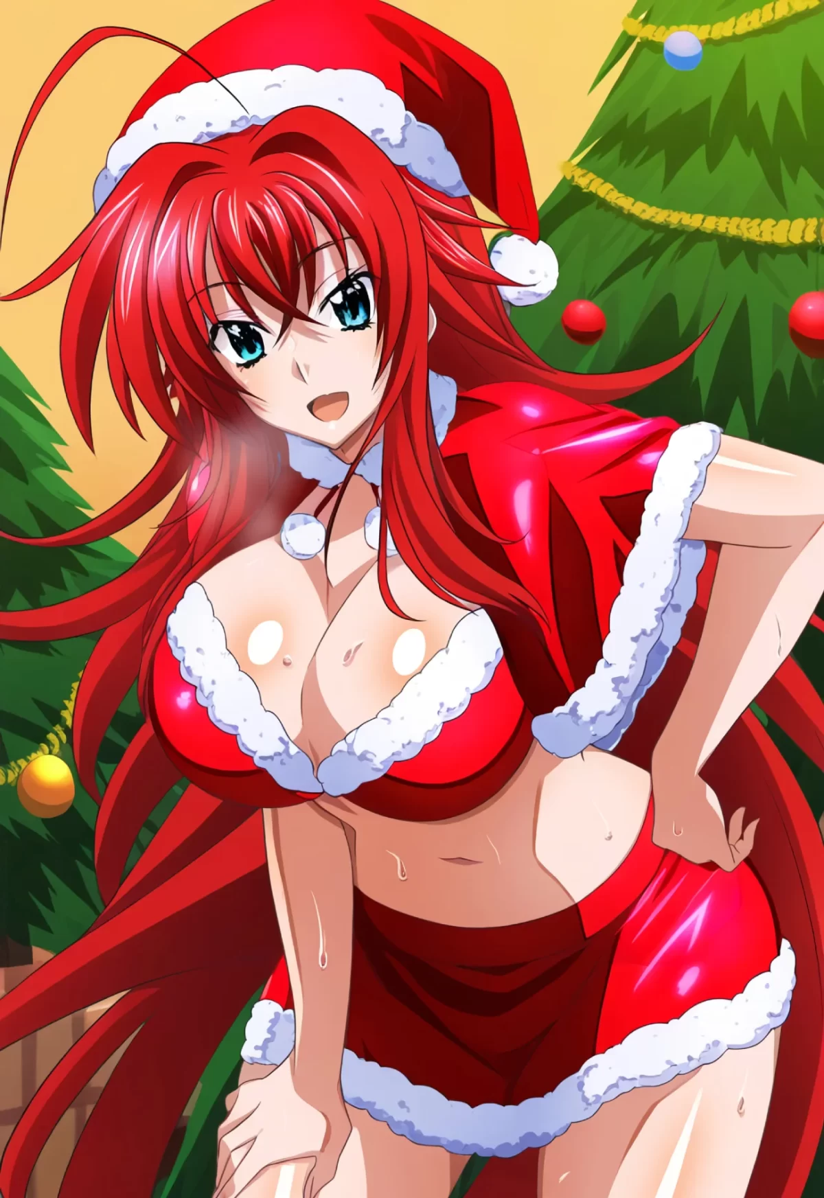 High School Dxd Rias Gremory Navidad