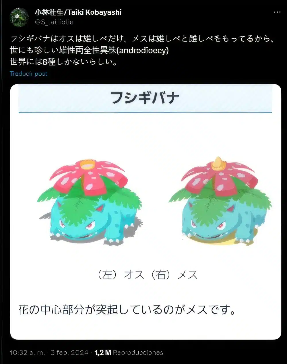 Pokemon-Venusaur-Waifu-Twitter-Teoria-01