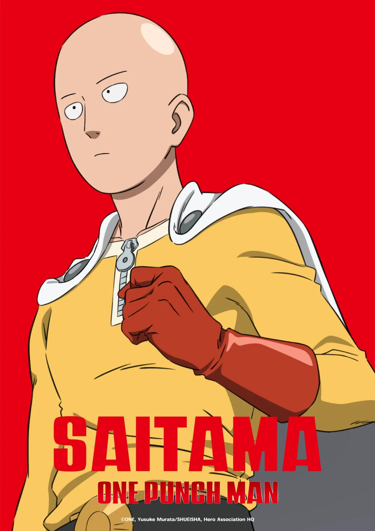 One Punch Man Visual 0101