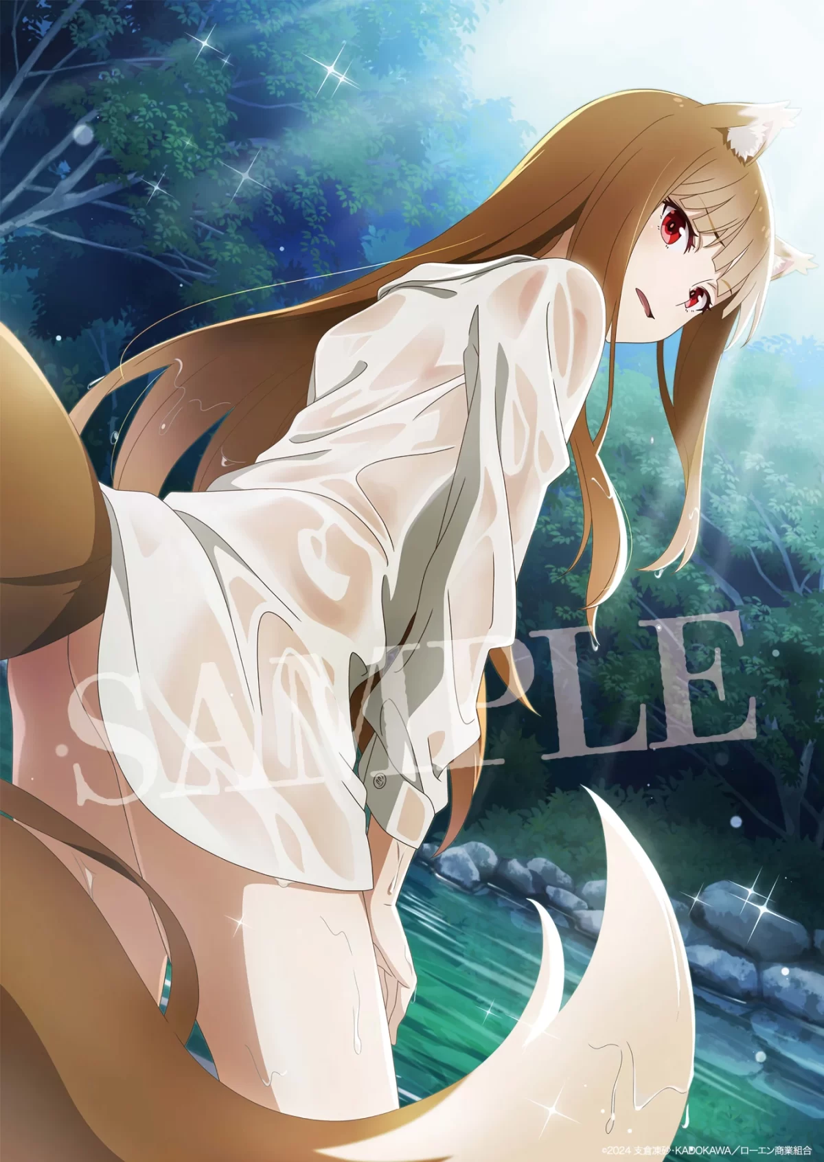 Spice And Wolf Bd Ilus 1