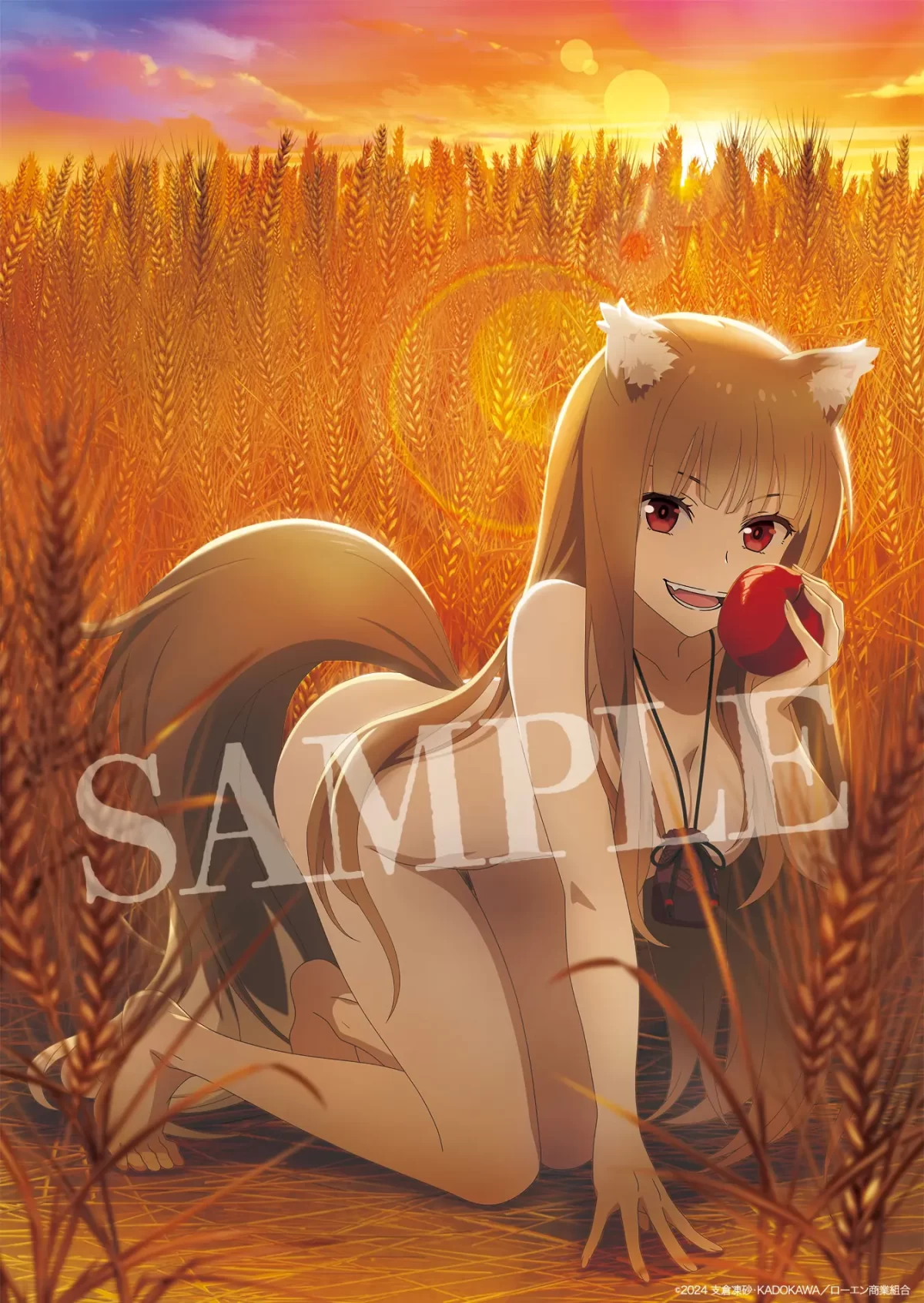 Spice And Wolf Bd Ilus