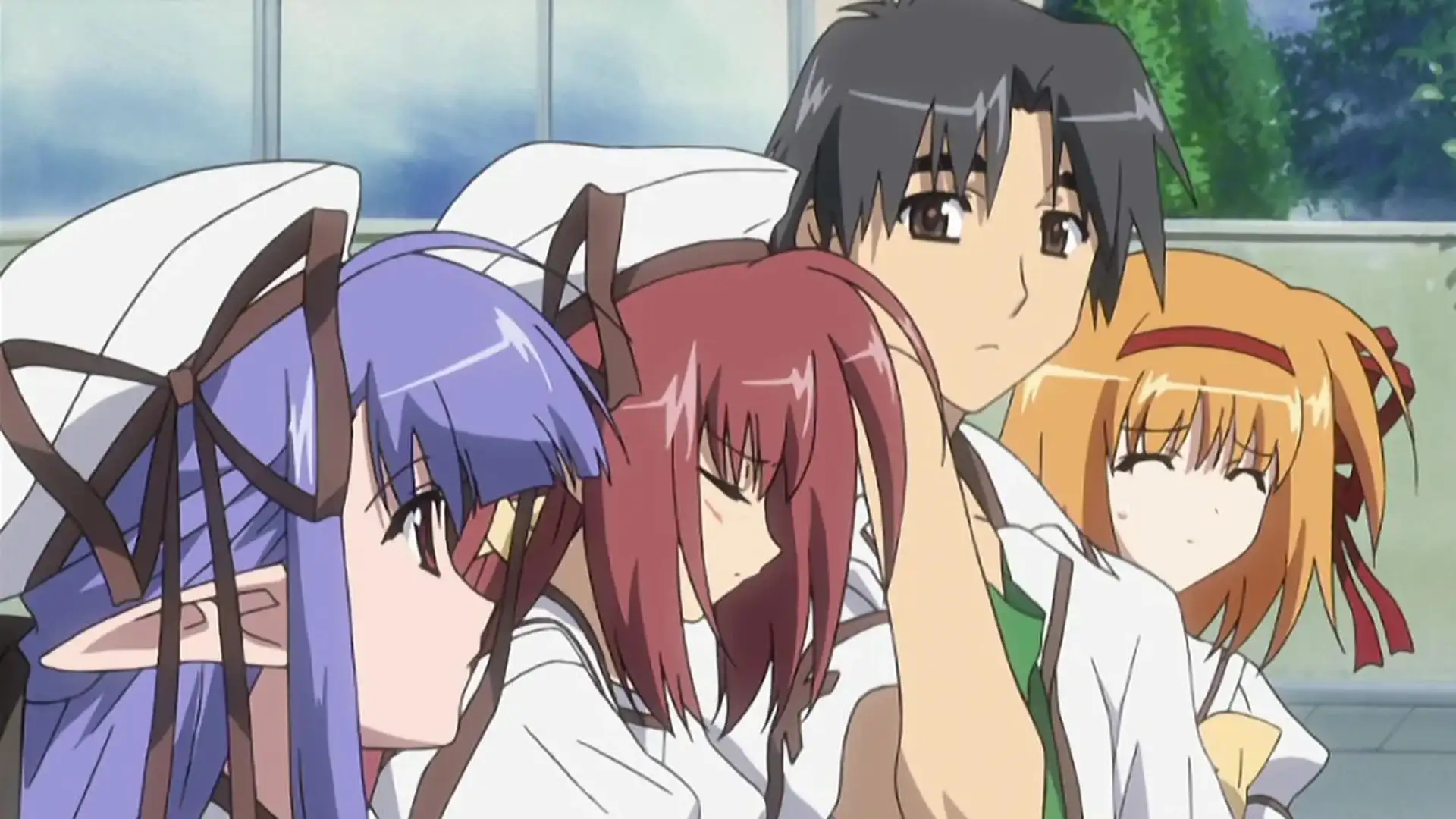 Animes Harem