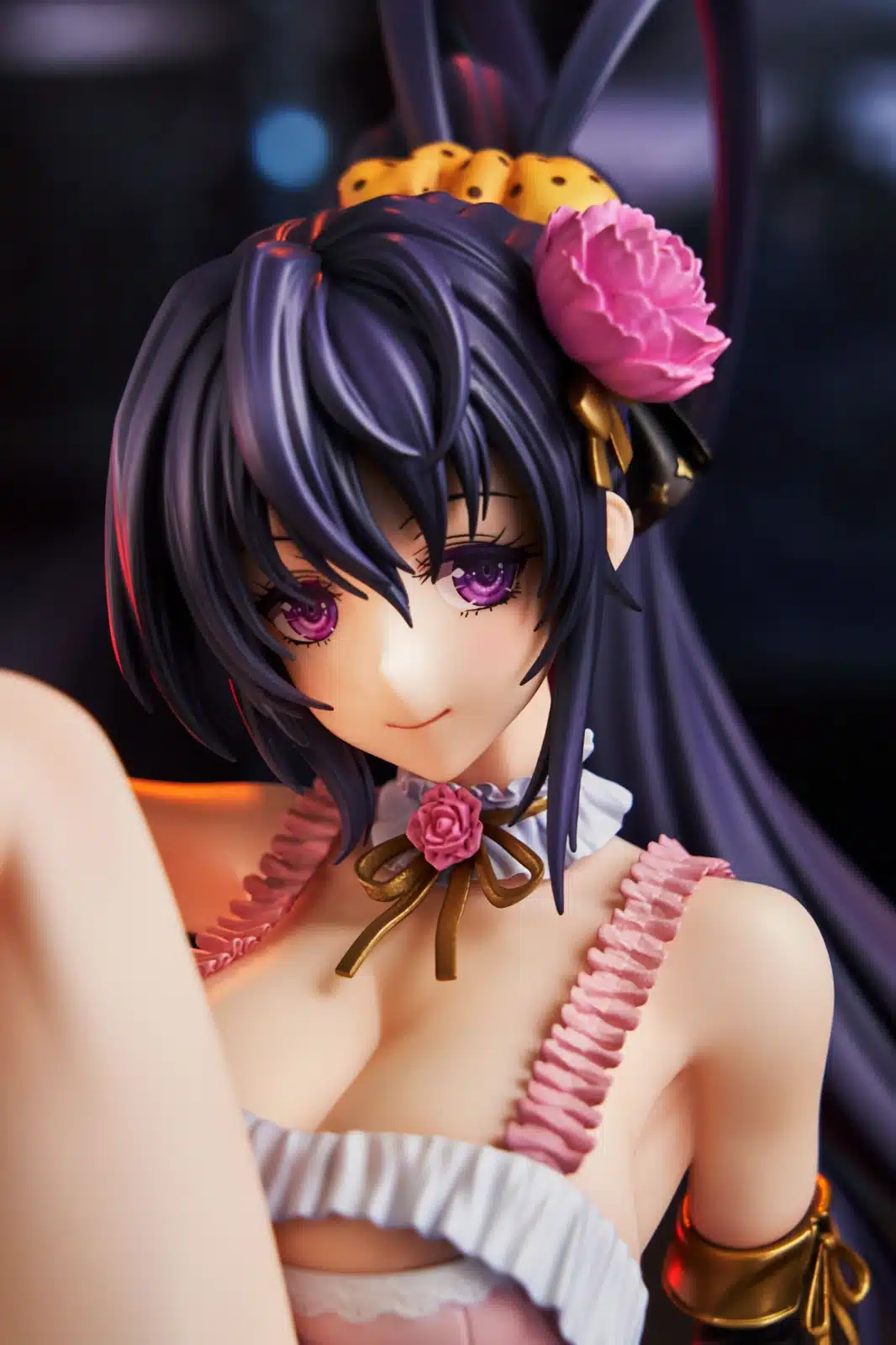 High School Dxd Amimi Figura H Akeno Himejima 2