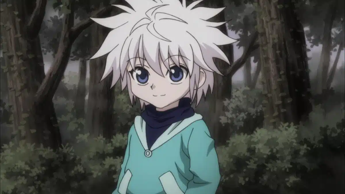 Killua Zoldyck Hunter X Hunter