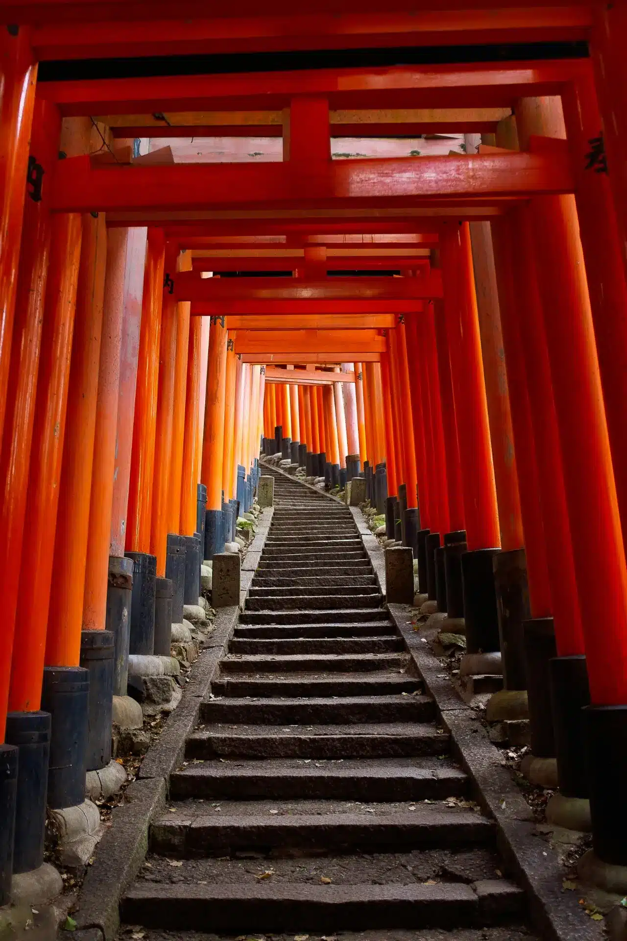 Puertas Torii