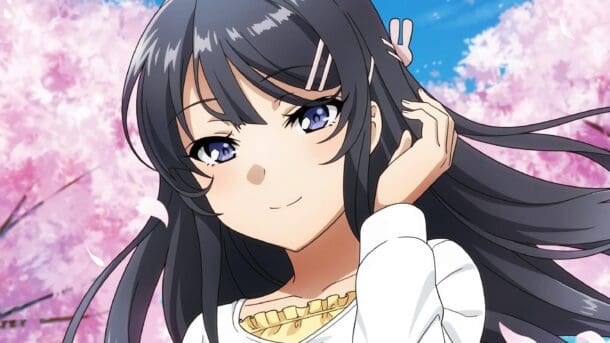 Tras diez años, Seishun Buta Yarou ha finalizado — Kudasai