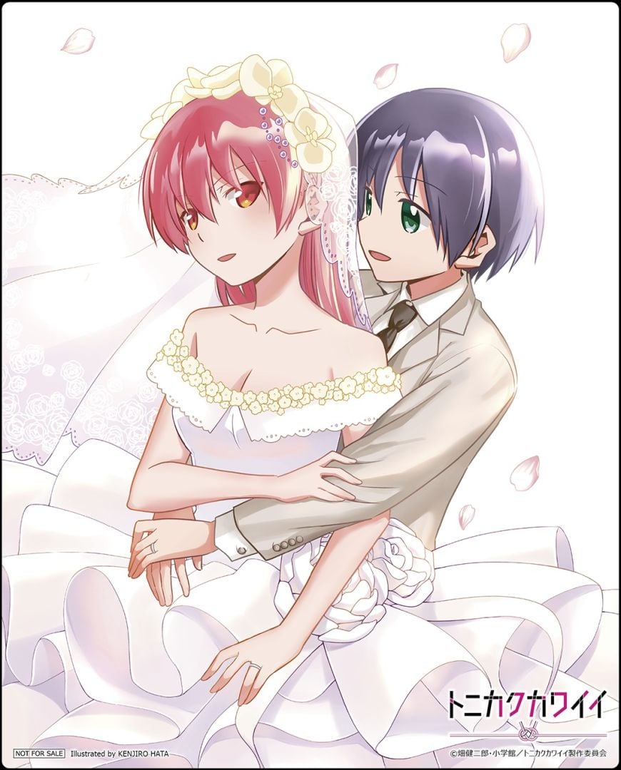 tonikaku-kawaii-full-3278508
